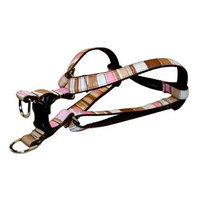 Sassy Dog Wear 1