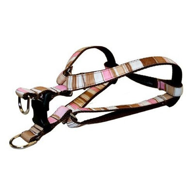 Sassy Dog Wear 1