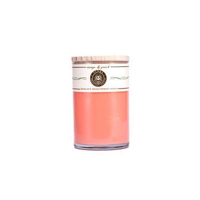 Terra Essential Scents Massage & Aromatherapy Candle Peppermint, Eucalyptus & Ginger 12Oz