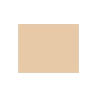 La Prairie Cellular Treatment Foundation Powder Finish Cameo