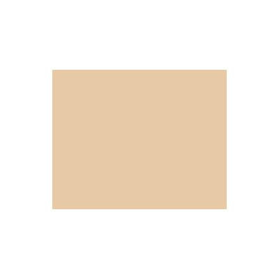La Prairie Cellular Treatment Foundation Powder Finish Cameo
