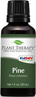 Plant Therapy Essential Oils Pine Oil 1 Ounce