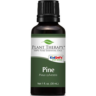 Plant Therapy Essential Oils Pine Oil 1 Ounce