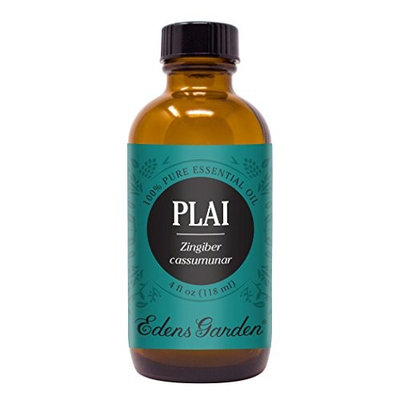 Plai Essential Oil (100% Pure, Undiluted Therapeutic/Best Grade) Premium Aromatherapy Oils by Edens Garden- 118 ml