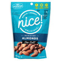 N'ice Nice! Roasted Salted Almonds - 9 oz.