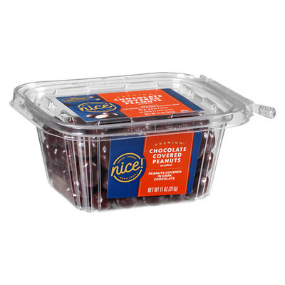 N'ice Nice! Dark Chocolate Covered Peanuts - 11 oz.