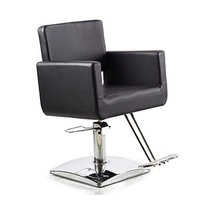 Danyel Beuaty Professional Hydrauilc Barber Chair Salon Spa Styling Equipment