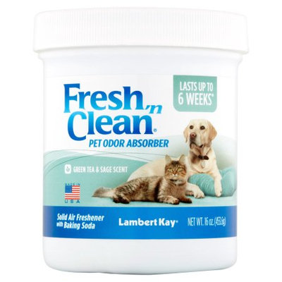 Pbi/gordon Corp Fresh N Clean Pet Odor Absorber Jar Green Tea