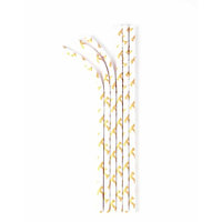 Aardvark Eco-flex Paper Straws, Tennessee Volunteers, 24 Ct