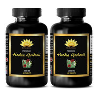 Appetite suppressant for weight loss - HOODIA GORDONII EXTRACT 2000mg - Hoodia hoodia gordonii - 2 Bottles 120 Tablets