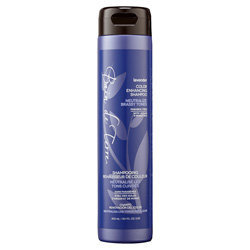 Bain de Terre Lavender Color Enhancing Shampoo Reviews 2019