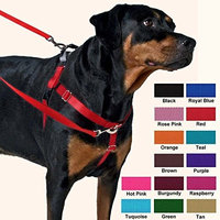 2 Hounds Design Freedom No-Pull Dog Harness and Leash, Adjustable Comfortable Control for Dog Walking, Made in USA (1