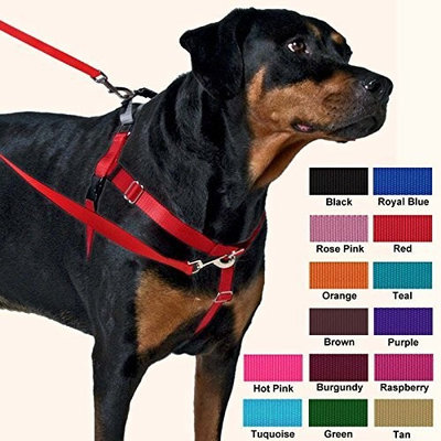 2 Hounds Design Freedom No-Pull Dog Harness and Leash, Adjustable Comfortable Control for Dog Walking, Made in USA (1