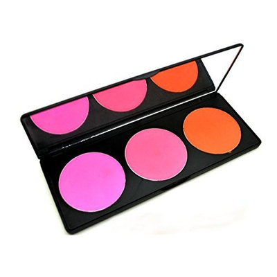PhantomSky 3 Color Large Powder Blush / Blusher Makeup Palette Contouring Kit - Perfect for Professional and Daily Use