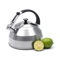 Creative Home Panorama 3.7-Quart Stainless Steel Tea Kettle