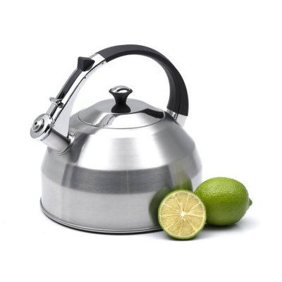 Creative Home Panorama 3.7-Quart Stainless Steel Tea Kettle