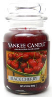 Yankee Candle Jar Candles 22 Oz.