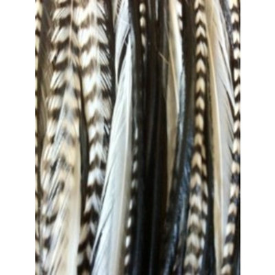 Zebrz Feather Hair Extension 4