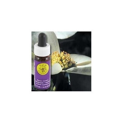 Dogwood Dropper, 0.25 oz, Flower Essence Services