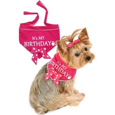Dig Pets IS-618272S 8-14 in. Its My Birthday Scarf Pink - Small