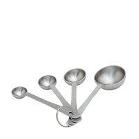 Focus Products Group Measuring Spoon Set (Pack of 6)
