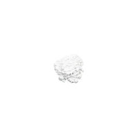 Arrowroot - 25 Lb Bag / Box Each