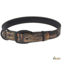 Avery Coated Dog Collar (L)- SG