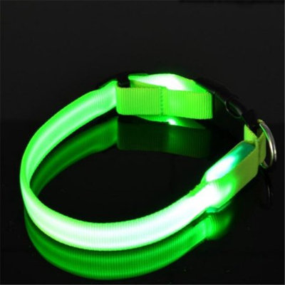 Sassy Dog Wear LED FLASHING GREEN4-C LED Flashing Dog Collar Green - Large