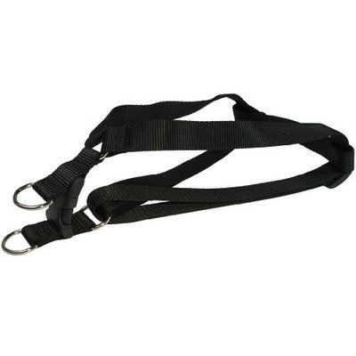 Sassy Dog Wear 1