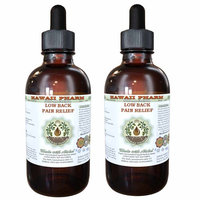 Low Back Pain Relief Glycerite, Turmeric (Curcuma Longa) Dried Root, Devil's Claw (Harpagophytum Procumbens) Dried Bark, Willow (Salix Alba) Dried Bark Alcohol-Free Liquid Extract, Glycerite
