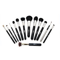 Ultima Plus 13-Piece Professional Make-up Brush Kit - Face, Eyes, Foundation