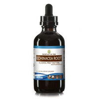 Secrets Of The Tribe Echinacea Root Tincture Alcohol-FREE Extract, Organic Echinacea (Echinacea Purpurea) Dried Root 4 oz