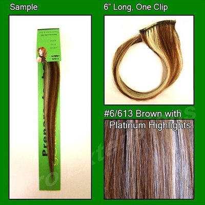 #6/613 Brown with Platinum Highlights, 6 Inch Sample of Clip on in Human Hair Extensions Set: Health & Personal Care