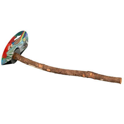 All Living Things® Natural Wood Bird Perch size: 14 in