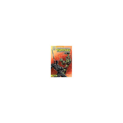 Teenage Mutant Ninja Turtles: New Animated Adventures: Volume 4: New Animated Adventures (Library)