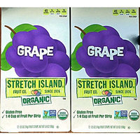 Stretch Island Organic Fruit Strips. 2-Pack, 24 strips total (Apple)