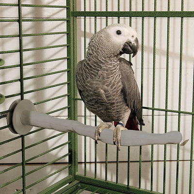 K & H Thermo-Perch for Birds - Small