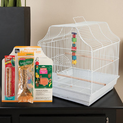 All Living Things® Parakeet Starter Kit size: 14