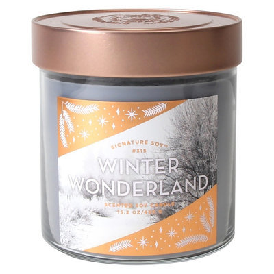 Signature Soy Candle Winter Wonderland - 15.2 oz, Light Grey