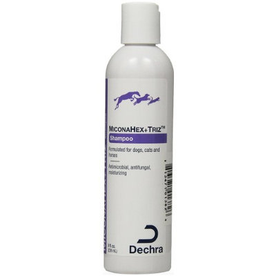 Dechra Veterinary Products Miconahex Triz Antifungal Antibacterial Pet Shampoo