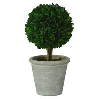 Small Boxwood Topiary Green Smith & Hawken
