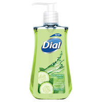 Dial® Cucumber and Mint Hand Soap