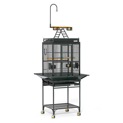 Avian Adventures Nina Playtop Bird Cage