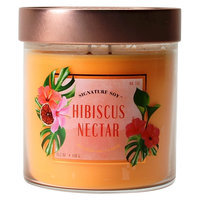 Signature Soy Jar Candle Hibiscus Nectar - 15.2oz, Orange