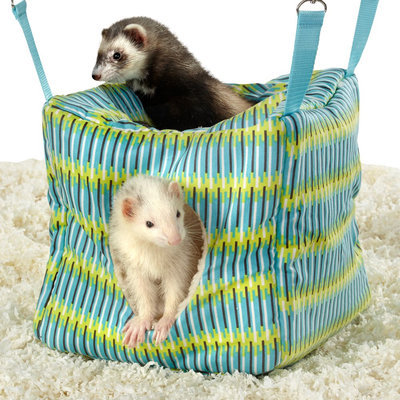 All Living Things® Ferret Cube, Coffee & Green
