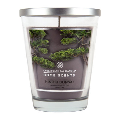 Jar Candle - Hinoki Bonsai (11.5 oz) - Home Scents, Yellow