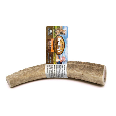 Dentley's® Nature's Chews Natural Flavor Large Breed X-Large Elk Antler Dog Treat size: X Large