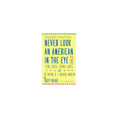 Never Look an American in the Eye: A Memoir of Flying Turtles, Colonial Ghosts, and the Making of a