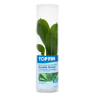 Top Fin® Rosette Sword size: Medium
