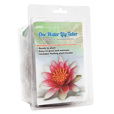 Complete Aquatic Systems Water Lily Tuber, Multi-Color